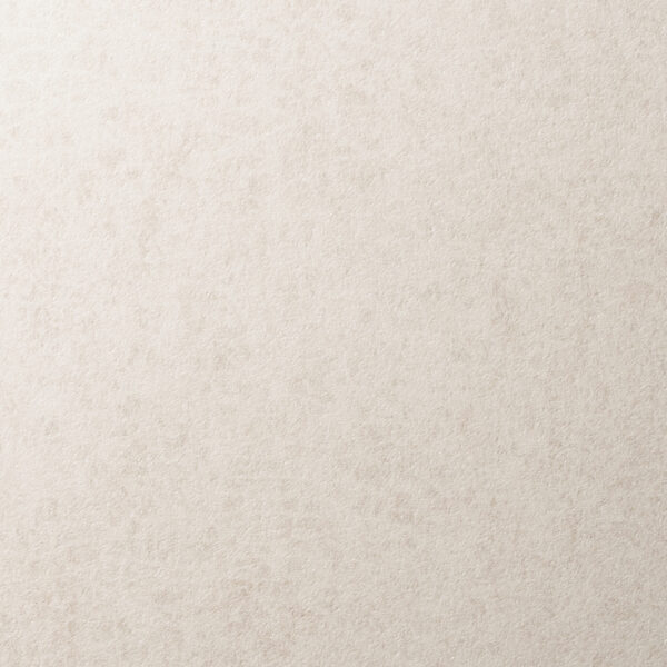 3M DI-NOC AE-1634 48" X 164' - Sample