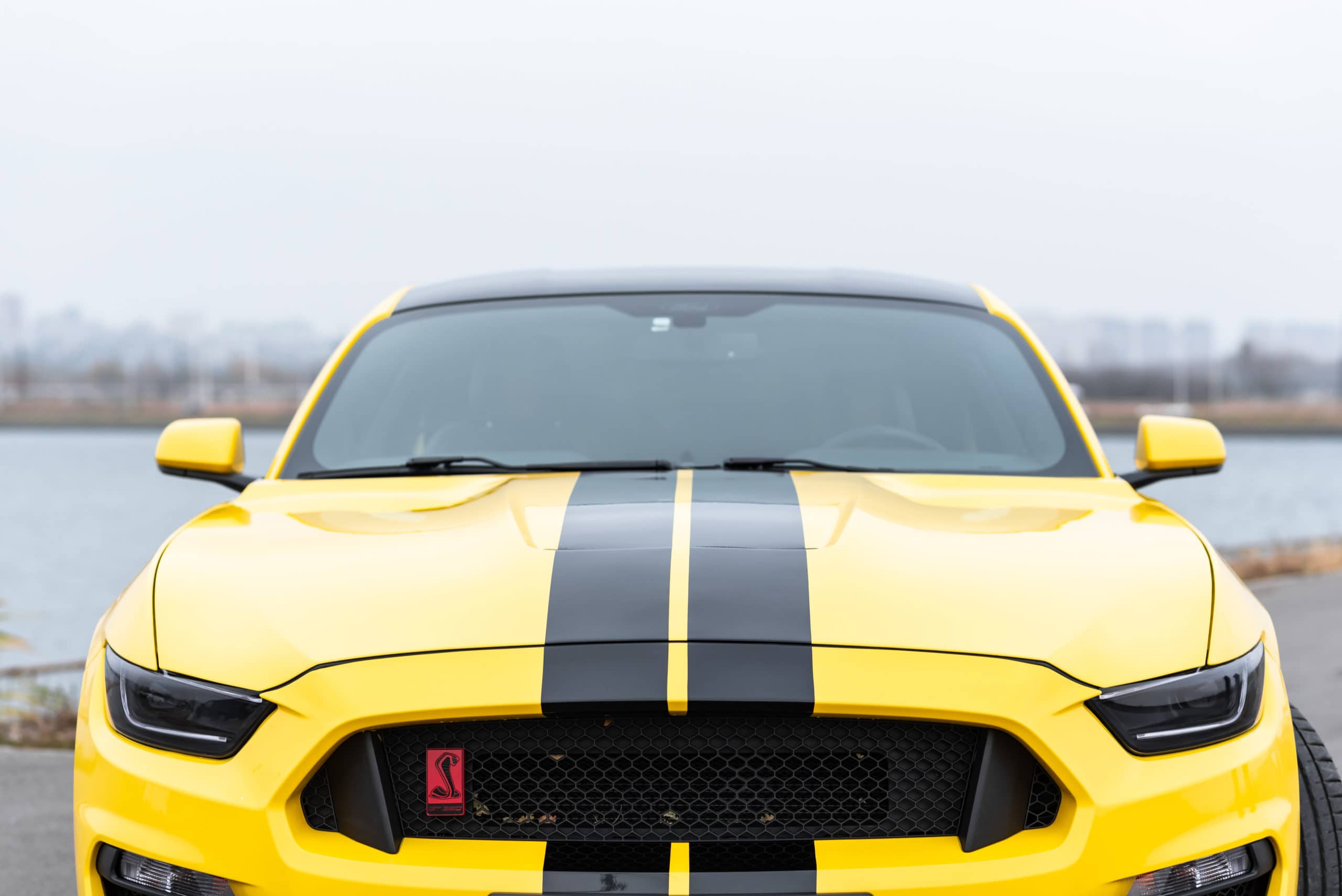 yellow mustang with vinyl wrap film series stripes