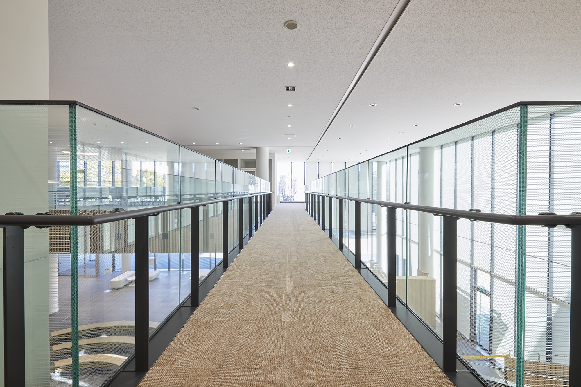 Featured image for “Top 5 Best-Selling 3M Glass Finishes to Consider for Your Space”
