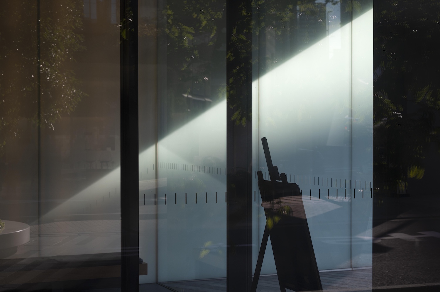 Commercial windows that need sun control, privacy, and decorative film